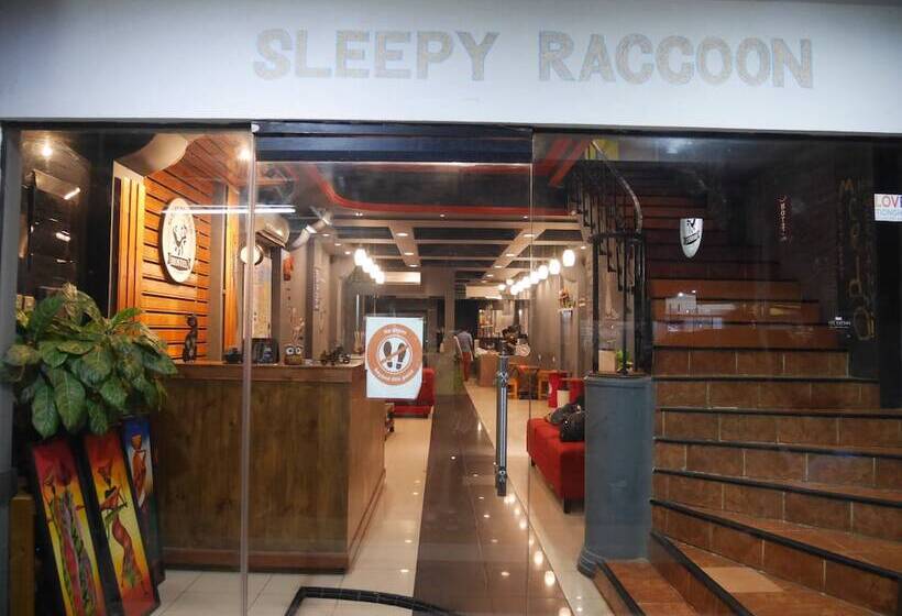 Sleepy Raccoon Hostel
