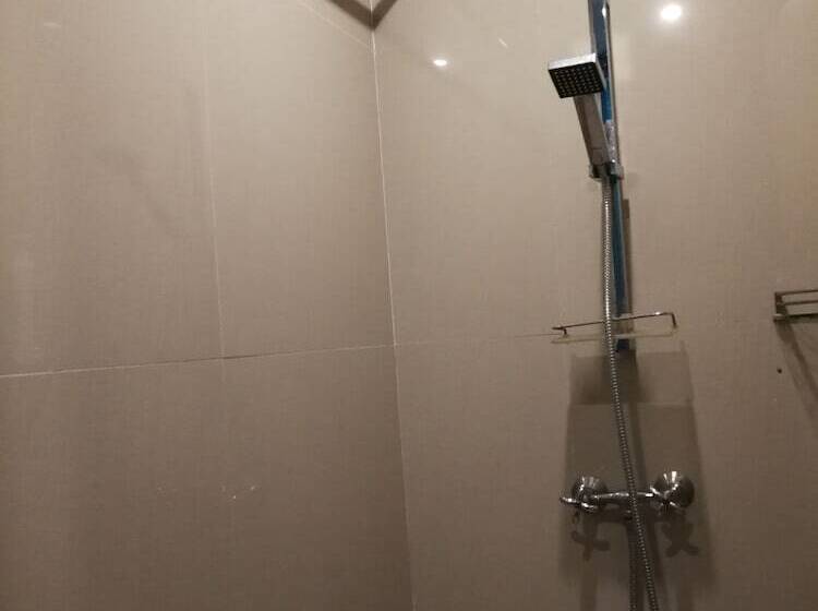 Sleepy Raccoon Hostel