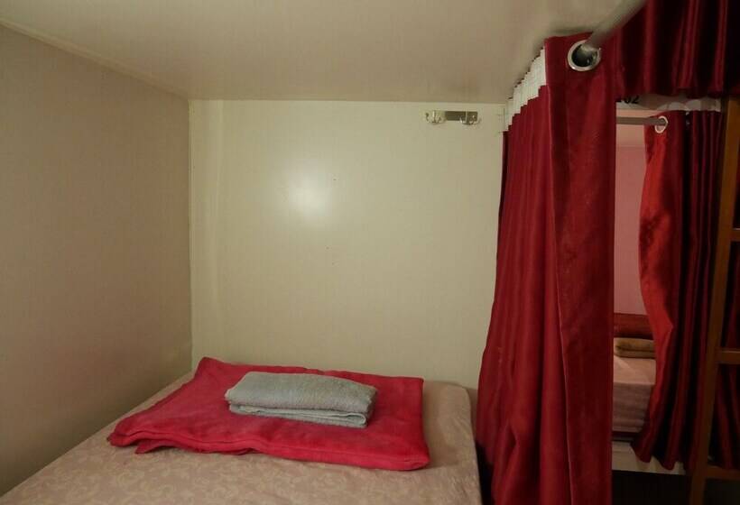 Sleepy Raccoon Hostel