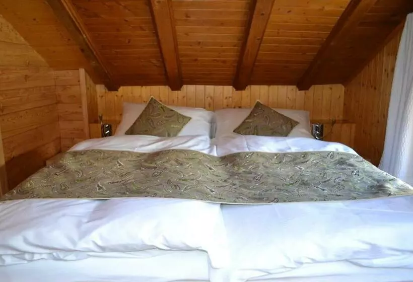 هتل Hôtel Mélèze B & B