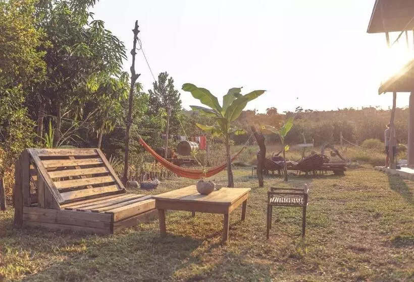 پانسیون Bonsai