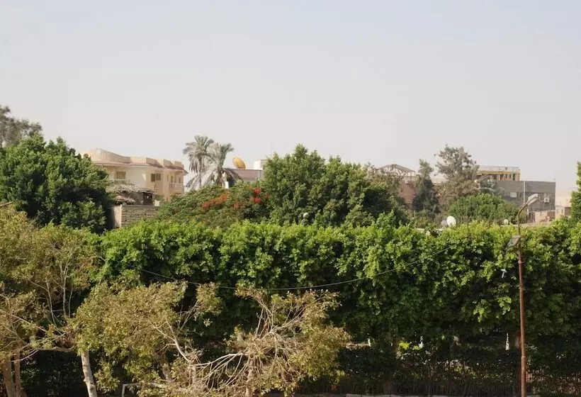 هاستل Zenibo Pyramids View