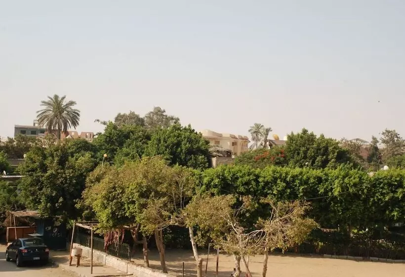 هاستل Zenibo Pyramids View