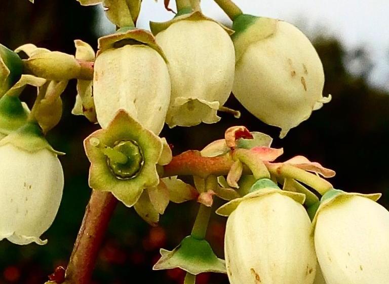 호텔 Hosteria Atelier