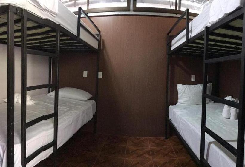 تختخواب و صبحانه The Jungle Container