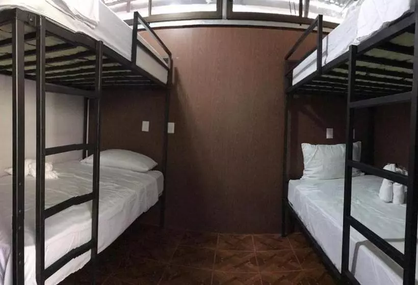 تختخواب و صبحانه The Jungle Container