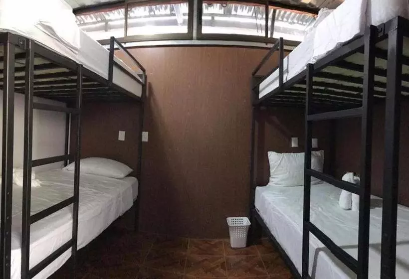 تختخواب و صبحانه The Jungle Container