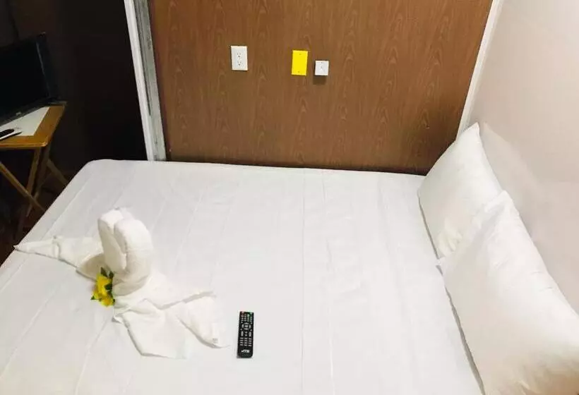 تختخواب و صبحانه The Jungle Container