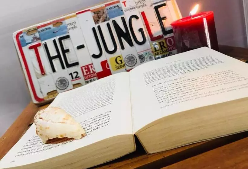 تختخواب و صبحانه The Jungle Container