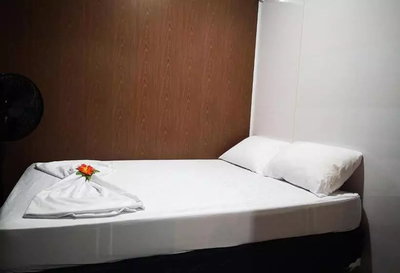 تختخواب و صبحانه The Jungle Container