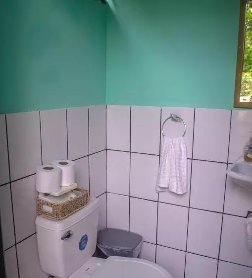 تختخواب و صبحانه The Jungle Container