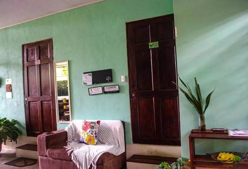 تختخواب و صبحانه The Jungle Container