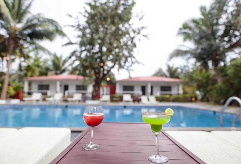 Wild Berry Resort Agonda