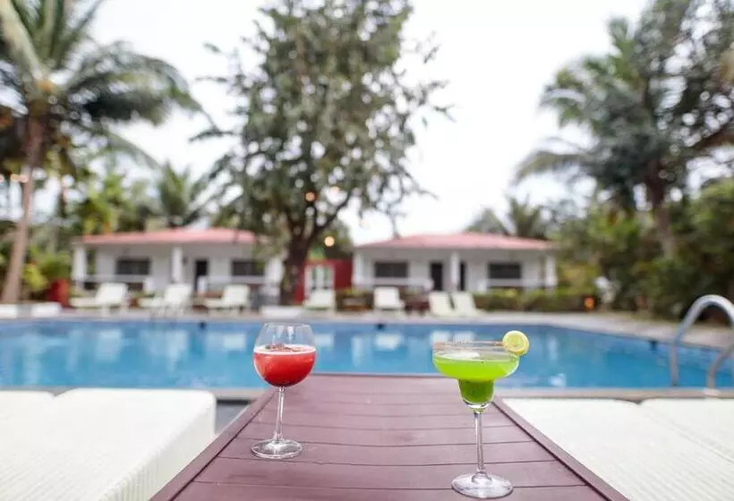 Wild Berry Resort Agonda