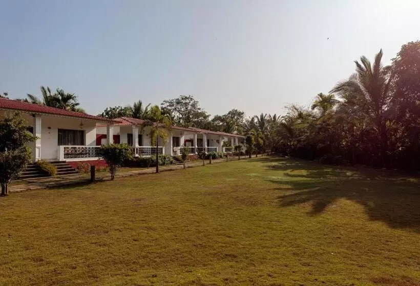Wild Berry Resort Agonda