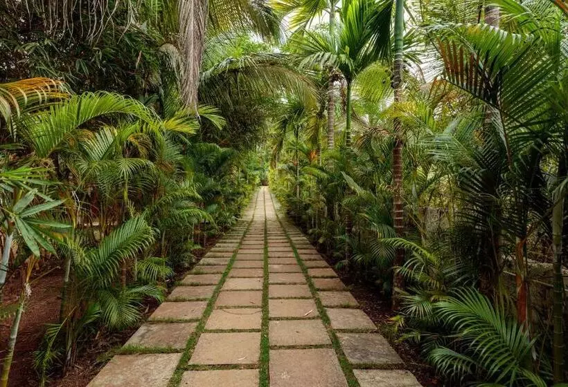 Wild Berry Resort Agonda