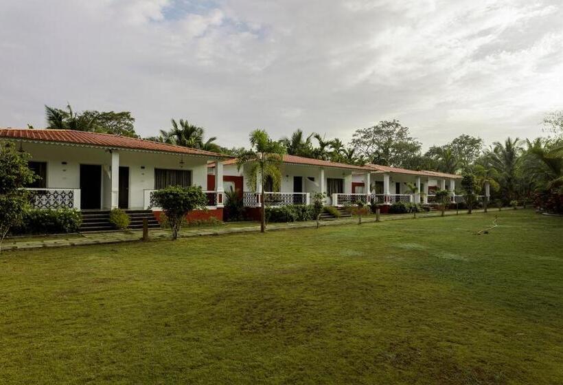 Wild Berry Resort Agonda