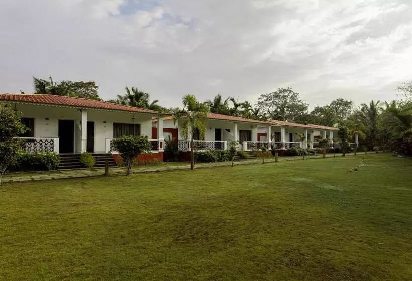 Wild Berry Resort Agonda