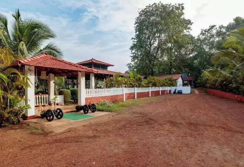Wild Berry Resort Agonda