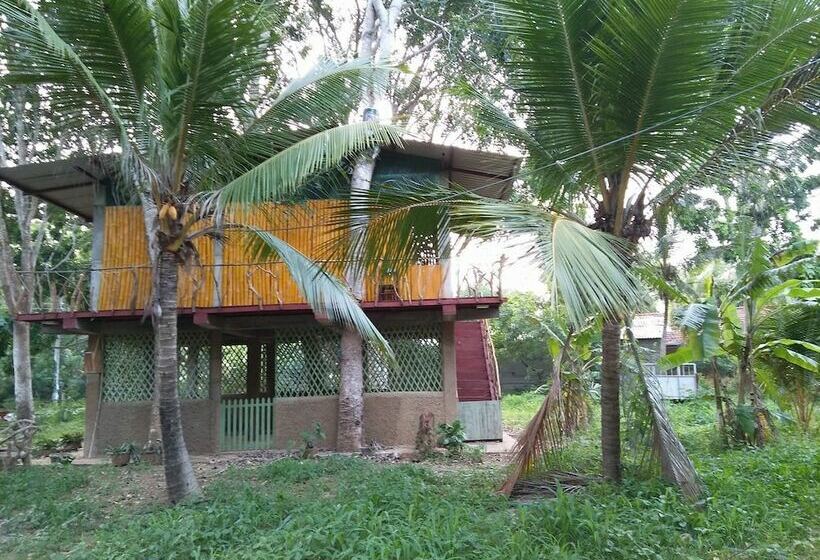 Wooden Paracosm & Resort