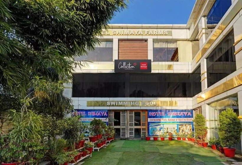 Hotelli Capital O Shimaya