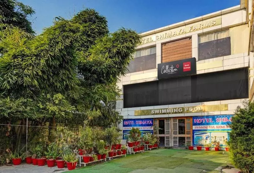 Hotelli Capital O Shimaya