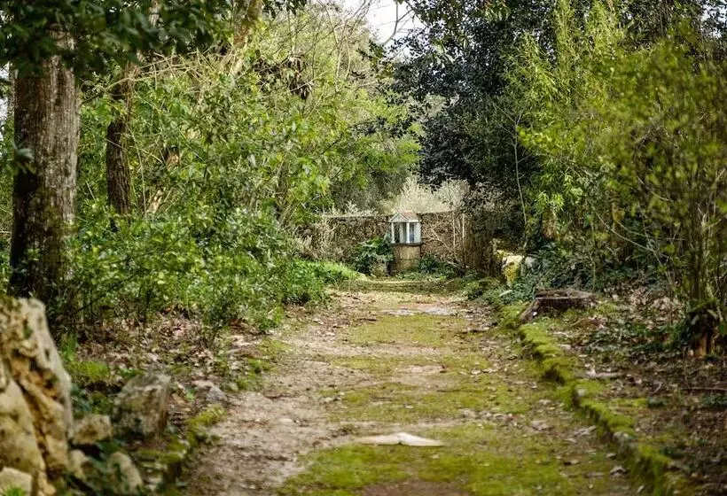 Sdivine Fatima Hotel, Congress & Spirituality