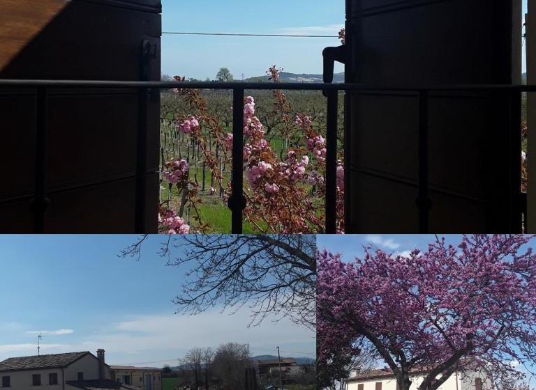 בית מלון כפרי Fattoria Della Bilancia