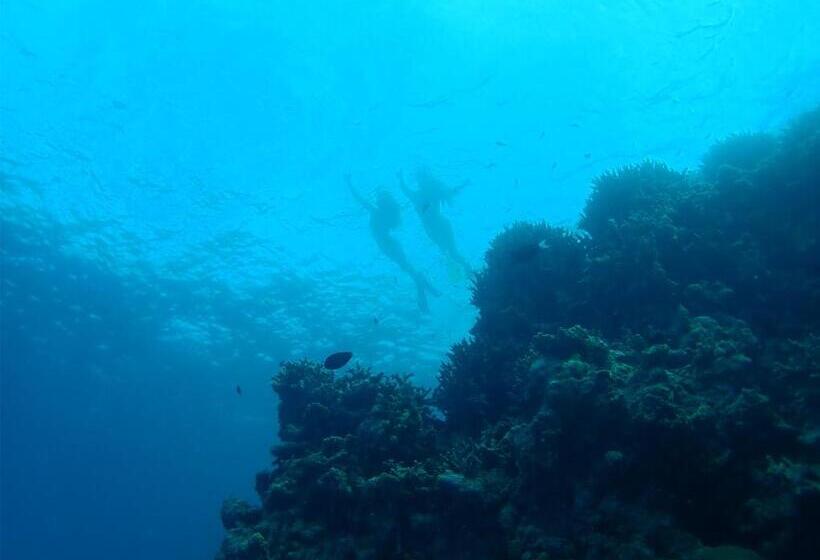 پانسیون Sea View Villa Ukulhas