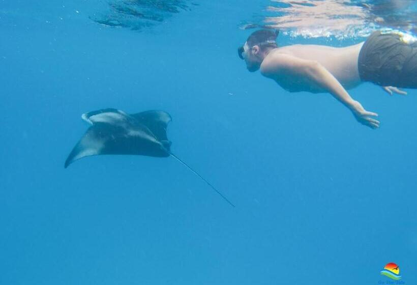 پانسیون Sea View Villa Ukulhas