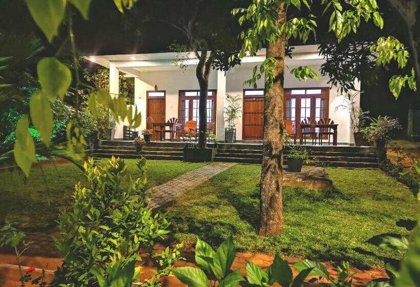 Pension The Cattleya Guest House Sigiriya