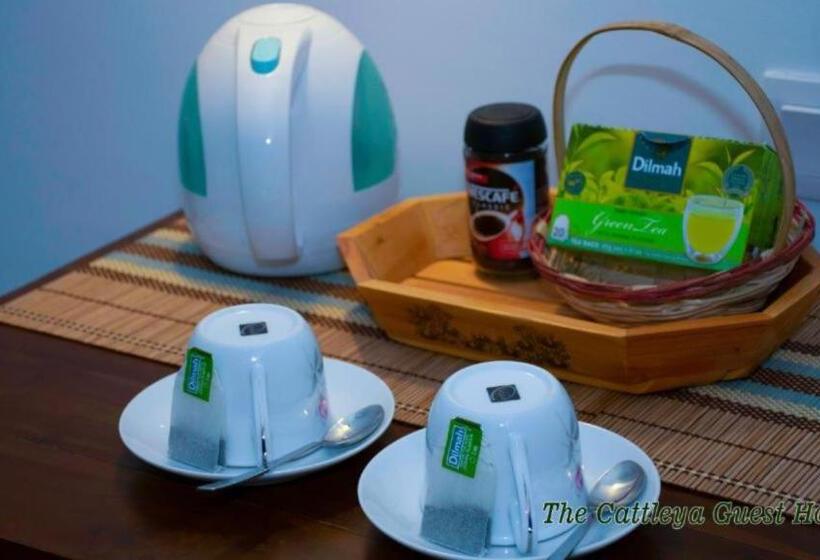 Pension The Cattleya Guest House Sigiriya