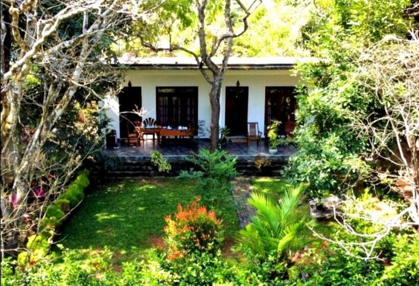 Pension The Cattleya Guest House Sigiriya