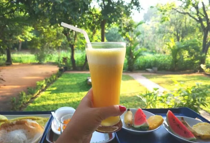 Majatalo The Cattleya Guest House Sigiriya