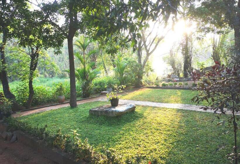 Pension The Cattleya Guest House Sigiriya