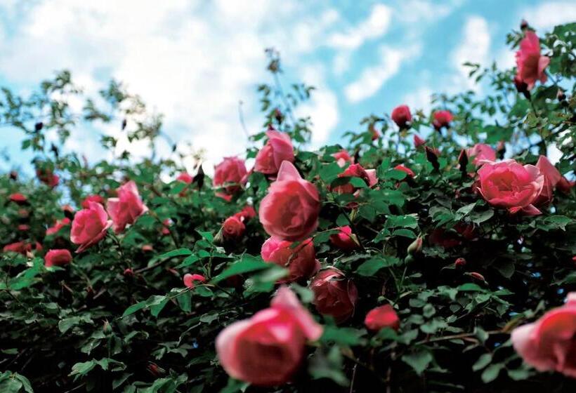 酒店 丽江束河元年别院 Yuannian Lijiang