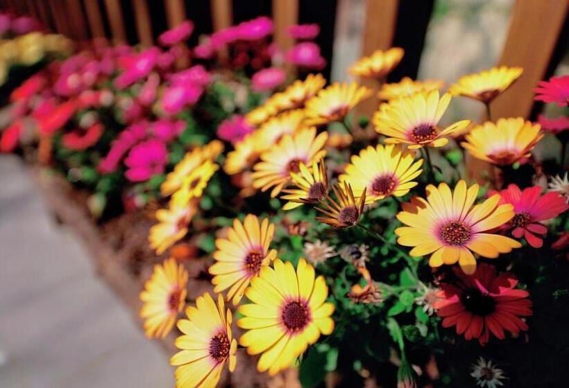 酒店 丽江束河元年别院 Yuannian Lijiang