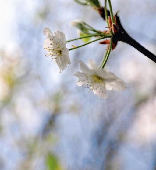 酒店 丽江束河元年别院 Yuannian Lijiang