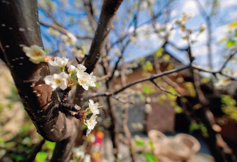 酒店 丽江束河元年别院 Yuannian Lijiang