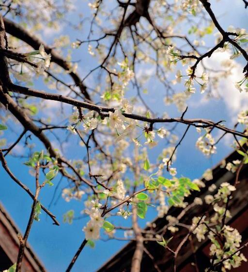 酒店 丽江束河元年别院 Yuannian Lijiang