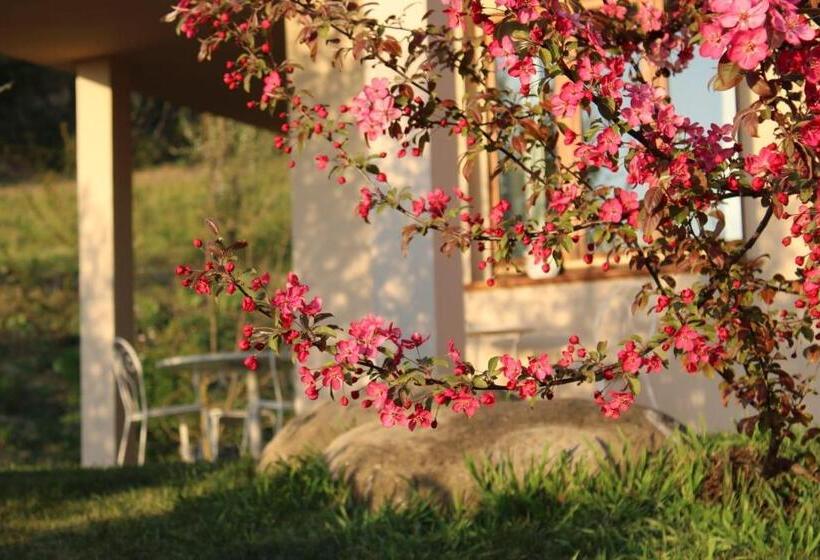 Le Sette Vie Holiday Homes