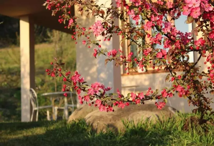 Le Sette Vie Holiday Homes