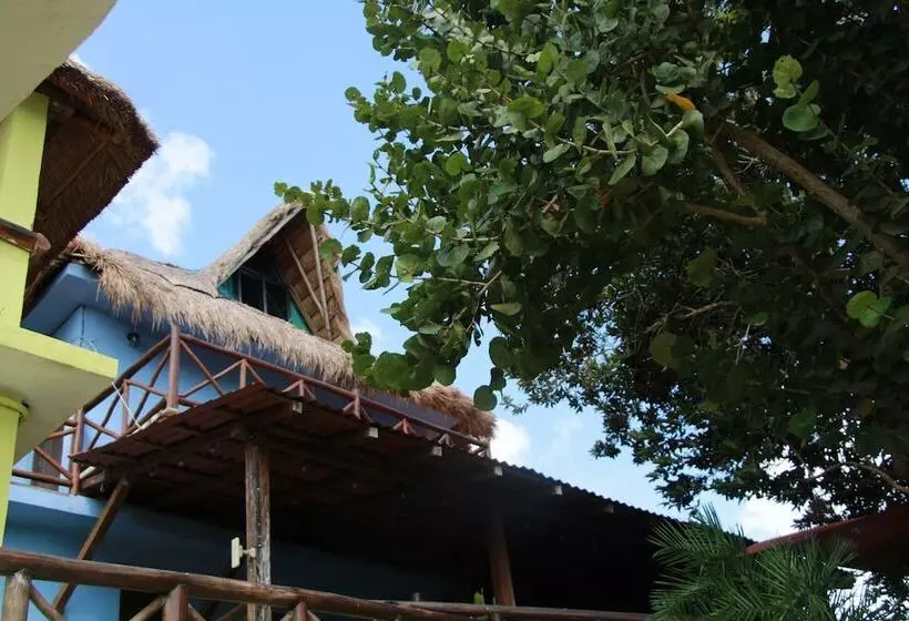 هتل Boutique Las Nubes Bacalar