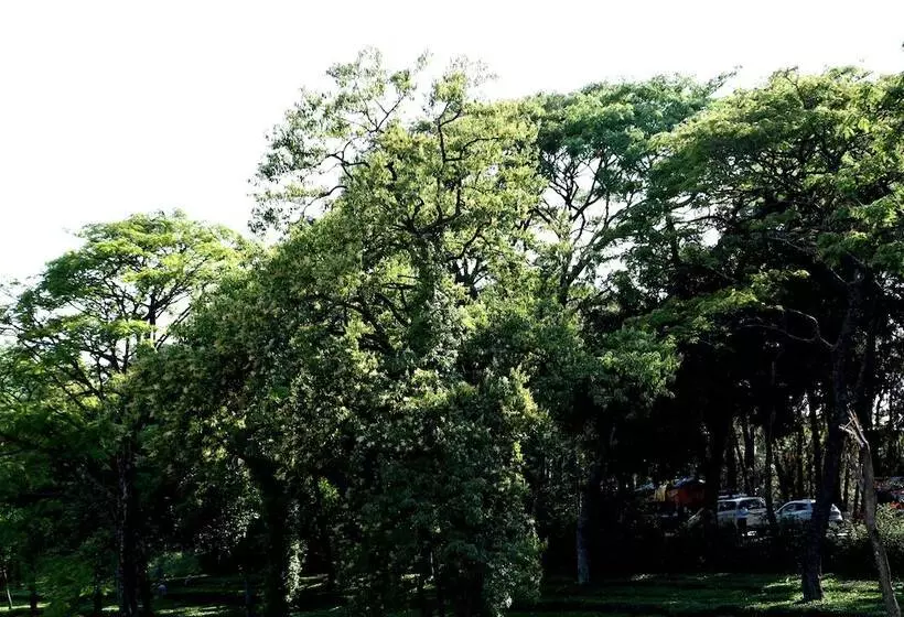 Hotelli Mastiff Villa Camellia By Othpl