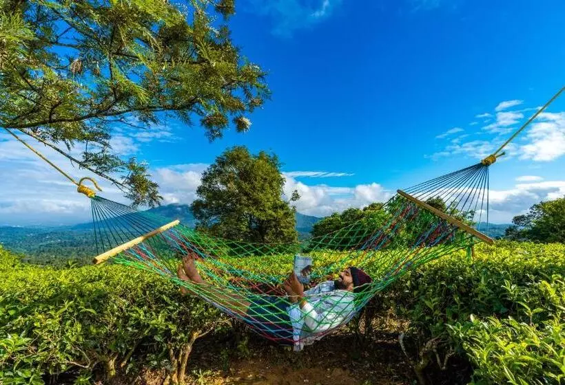 Auberge Zostel Plus Wayanad
