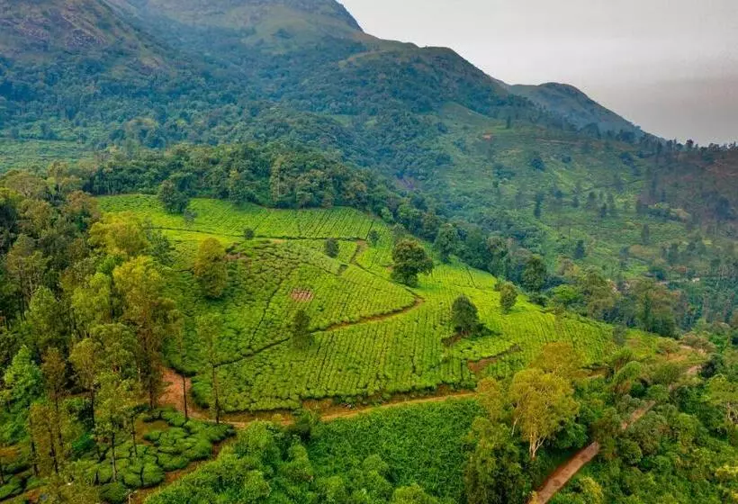 Auberge Zostel Plus Wayanad