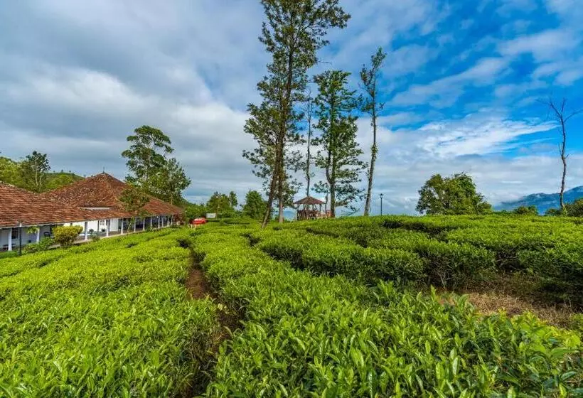 Auberge Zostel Plus Wayanad