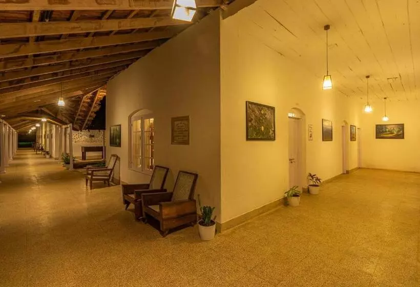 Auberge Zostel Plus Wayanad