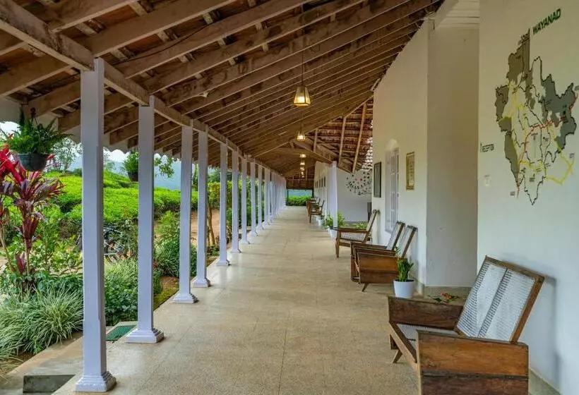 Auberge Zostel Plus Wayanad