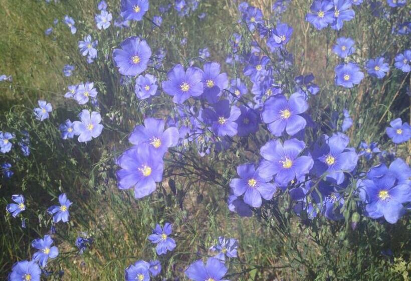 هاستل Inn On The Beartooth B&b